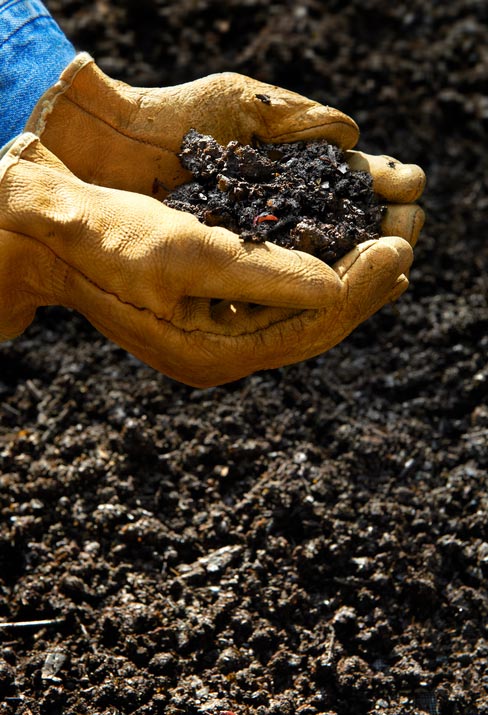 How to Compost Your Kitchen Trash into Rich Gardening Soil