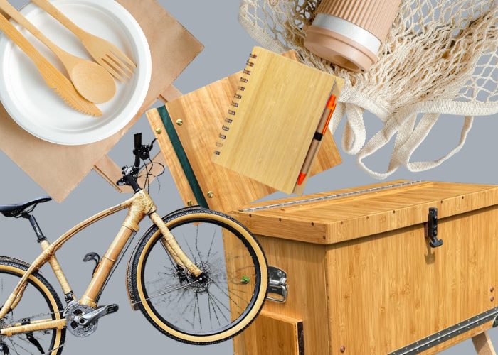 Uses of Bamboo in Modern Day