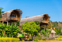 bamboo homes china