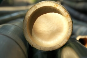 cross-section-of-moso-bamboo-used-for-flooring