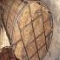 bamboo carbonization