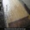 bamboo pest and decay prevention