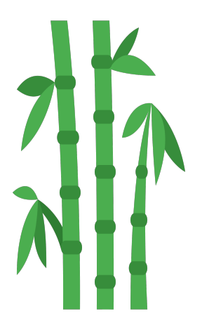 bamboo