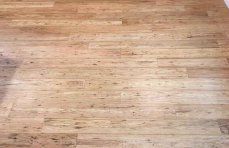 Tupelo Honey Eucalyptus Floor