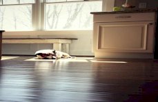 Carbonized Antiqued Bamboo Floor
