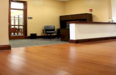 Cinnamon Strand Bamboo Floor