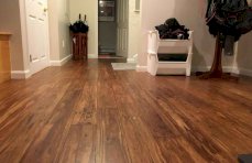 Malted Ale Eucalyptus Flooring