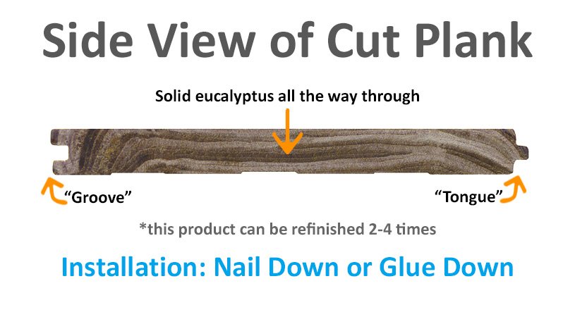Malted Ale Eucalyptus