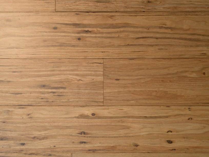 Tupelo Honey Eucalyptus