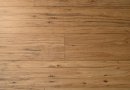 Tupelo Honey Eucalyptus