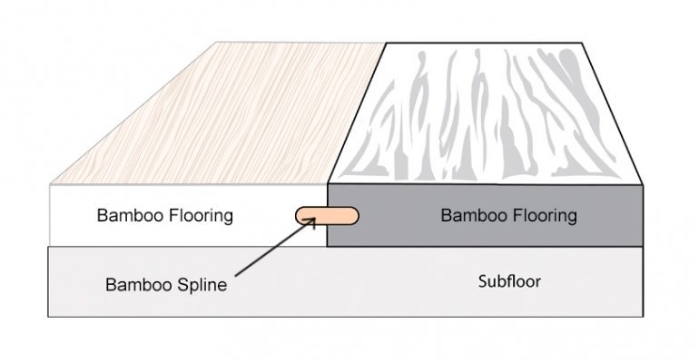 Bamboo Spline Diagram
