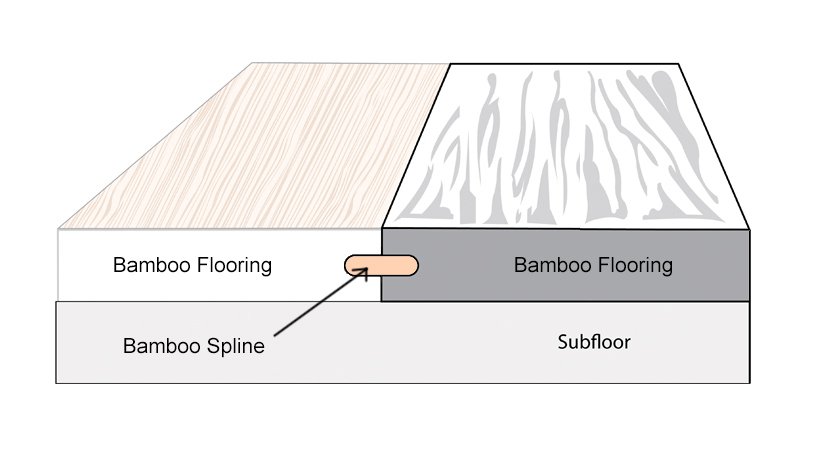Bamboo Spline Diagram