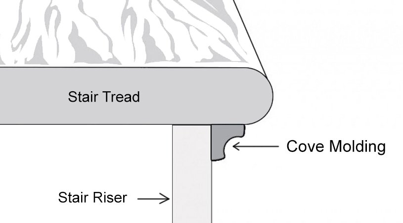 bamboo cove molding diagram